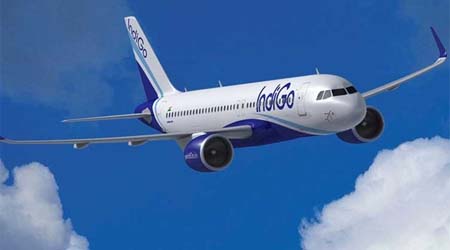 सहा हजारांवर परदेशी पर्यटक गोव्यातून  मायदेशी परतले